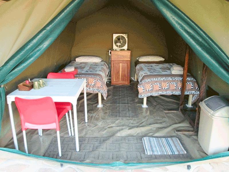 tents05