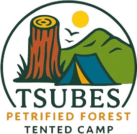 Tsubes Petrified Forrest Camp
